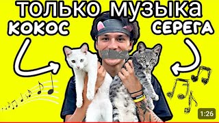 @HolyBaam Holy Baam - песня про котят (серëга и кокос) только музыка