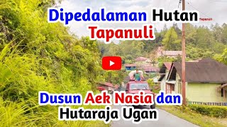 🔴Dusun Dipedalaman Hutan Tapanuli Aek Nasia dan Hutaraja Ugan ‼️