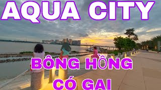 AQUA CITY - BÔNG HỒNG CÓ GAI #aquacity.