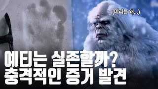 알래스카 산등성이에서 발견한 33cm의 대형 발자국, 예티는 실재한다! [지식의 발견]