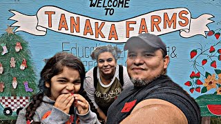 Tanaka Farms. haciendo agroturismo en familia.