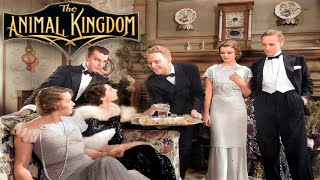 The Animal Kingdom (1932) |Full Movie| Starring Ann Harding Leslie Howard, Myrna Loy William Gargan