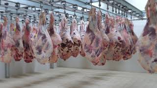 Aptean Food & Beverage ERP for Meat, Seafood and Poultry: Streamline Your Production