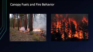 Unmanned Aerial Vehicles (Drones) for Measuring Canopy Fuels and Aerial Ignitions