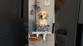 Dog’s favorite football player 😂 audio by @jasonbankscomedy