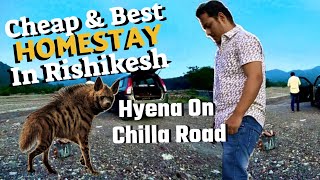 Rishikesh Road pe Dikha Hyena | Cooking in Rajaji Tiger Reserve | Cheapest Homestay #youtube #travel