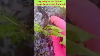 #shorts How to remove weeds more easily from soil