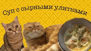 Рецепт вкуснейшего куриного супа с сырными улитками