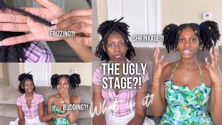 THE UGLY STAGE OF INSTANT LOCS?!  | SHRINKAGE, FRIZZING & BUDDING! | PART 2 FT. PRISTINYPRODUCTIONS