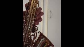 sax solo (this is my first time using a proper recording setup)#jazz