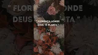 Floresça aonde Deus te planta #vidacompropositos #motivacional  #gospel