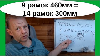 Отбор мёда от слабых пчелосемей - можно или нет. 9 рамок 460 = 14 рамок 300, не такая уж и слабая