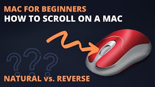 How do you Scroll on a Mac? Apple Natural Scrolling vs Windows Reverse Scrolling