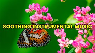 15 Minute of Most Liked Soothing Instrumental Music While Streamed LIVE- Calm Yourself INSTANTLY