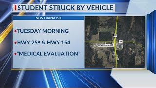 New Diana ISD student hospitalized after hit when crossing highway intersection