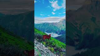 Mountains Adventure ❤️😍🤩 #shorts #shortvideo #shortsvideo #short #youtubeshorts #adventure