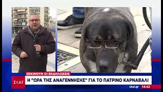 Το Λάβαρο του Πατρινού Καρναβαλίου στο Δημαρχείο της πόλης