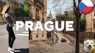 Prague street walk - Relaxing video - Head Franz Kafka - Czech Republic 🇨🇿 - Travel VLOG