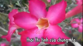 karaoke trich doan To Anh Nguyet ( full) _ca voi 545.mp4