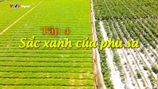 Sắc xanh của phù sa | Ký sự Xuôi dòng Đa Nhim - Tập 4 | VTV9