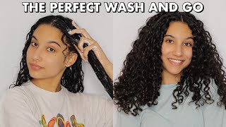 No Gel Wash and Go with Extreme Definition | Biocare Labs