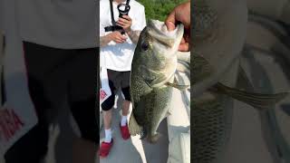 He said 5 or 6 pounds! WBU? #shorts #fishing #fishinglife #bigfish