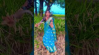 Sota  #video #viral#tirandga  song #sanjalirajbharofficial