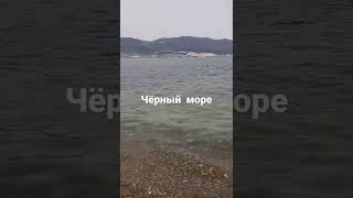 Новороссийске чёрный   море