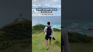 Top 10 Best Short Walks To Do In New Zealand