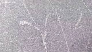 Silver grey honed granite slab