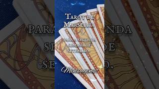 O que temos para a segunda semana de setembro? #Tarôt #shortsviral #leituradetarot