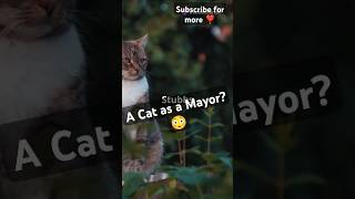 A cat as a mayor?😳😂||#shorts ||#facts |