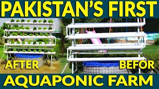 Aquaponic System For Raising Fish and Growing Soilless Plant Cultivation by As Sammak Farm