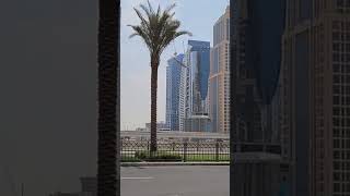 Dubai Tram train beauty #dubai#dubaitram #youtubeshorts #shortsviral#shorts #@rajausman2016