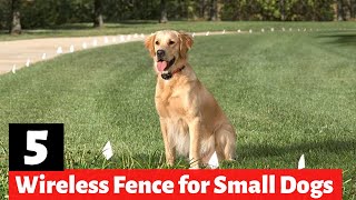 What are the Top 5 Wireless Dog Fences for Small Dogs?