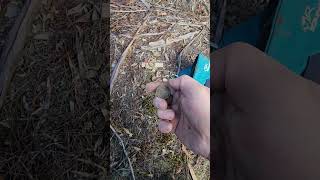 What's in my metal detecting pouch episode 16