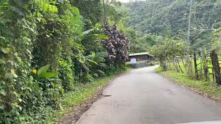 La Suiza de Puerto Rico en Ciales