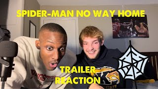 Spider-Man No Way Home Trailer (Reaction)