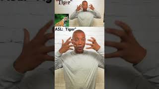 How to sign “Tiger” in Sign Language