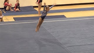 Celebrate the New Year 2018 - Level 3 Gymnastics Meet