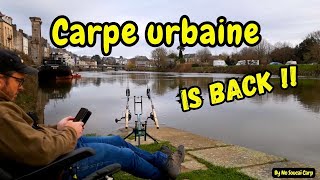 Carpe urbaine, Is Back!!