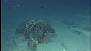 Titanic Archive Project: NOAA 2003 - Port Side Anchor/Debris Field/IPSCO Experiment check