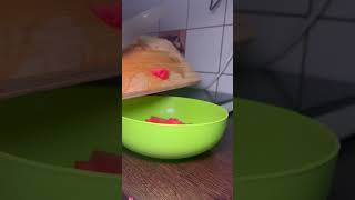 #watermelon #watermelonjuice #salad #foodshorts #food #foodclips #youtubefood