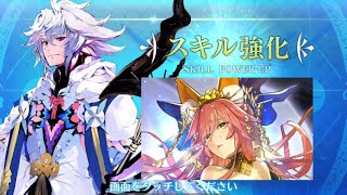 【FGO】Merlin (Caster) Skill Upgrade Demo『Illusion』【Fate/Grand Order】