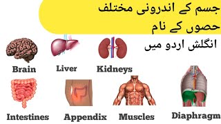 Human body vocabulary | Parts of body vocabulary | English Practice