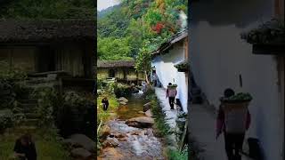 Nature view | China village houses, River, Nature 4k videos | short video