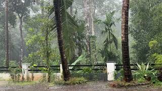 Monsoon at its best - Heavy Rain