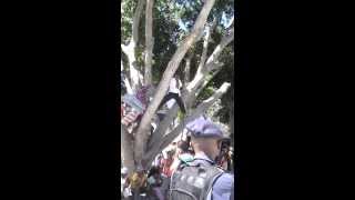 Ringleaders Egg Protesters on from Tree #CTMarch 27 Feb 2014