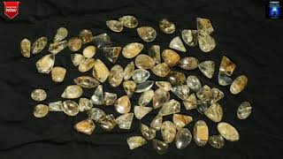 Citrine|Saturday Special Offer||Dr.Anita Agrawal|||ENERGIES1|||