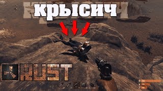 Rust - Очередной п*дор на сервере. Первый рейд. Классика. Слюни